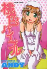 Momoiro Bible cover