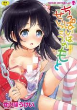 Chippai wa Seikou no Moto cover