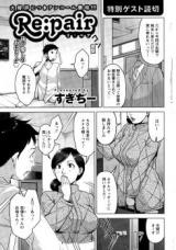 Re:pair cover