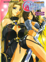 Harem Castle (Novel) cover