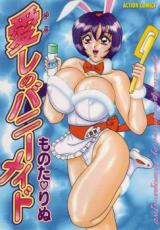 Itoshi no Bunny Maid cover