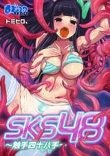 SKS 48 cover