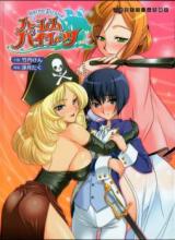 Harem Pirates (Novel) cover