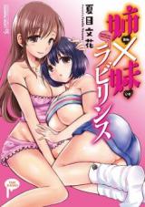 Ane x Imouto Labyrinth cover