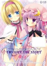 Touhou Project dj - Yoru ni Osatou wo Kakete cover