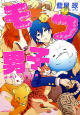 Series Image