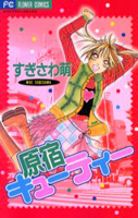 Series Image
