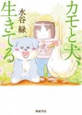 Series Image