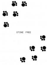 Jarinko Chie dj - Stone Free cover