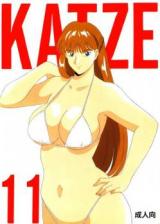 KATZE 11 cover