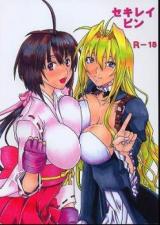 Sekirei dj - Sekireipin cover