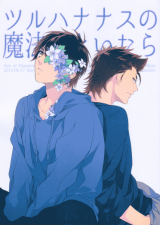 Series Image