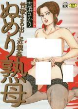 Seiyoku marudashi kinshin kan numeri jukubo cover