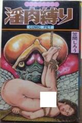 Midaraniku Shibari cover