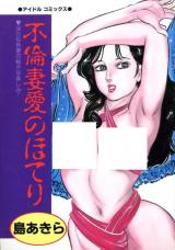 Furin Tsuma ai no Hoteri cover