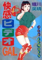 Kaikan Bideo GAL cover
