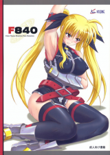 Nanoha dj - F840 cover
