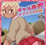 Gal Danshi Acme Bunkasai cover