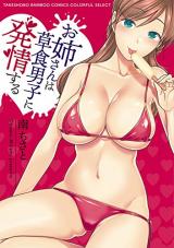 Onee-san wa Soushoku Danshi ni Hatsujou suru cover