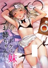 Boku wa Onee-chan no Imouto. cover