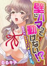Kabe ni Hamatte Ugokenai!? ~Mochiron, Sonomama Hame Chaimashita!~ cover
