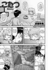 Kotatsu cover