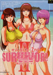 Dead or Alive X dj - Survivor!! cover