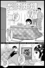 Warm Kotatsu cover
