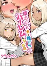 Ie de Gal o Hirottara Harem ni Natta Hanashi cover