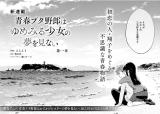 Seishun Buta Yarou (Novel) - Baka-Updates Manga