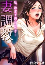 Tsuma Choukyou - Watashi, Yokkyuu Fuman Nandesu... cover