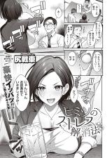 Himitsu no Stress Kaishouhou cover