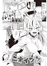 Nioitsuke cover
