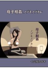 Boshi Soukan Nozokinozokare cover