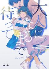 Series Image