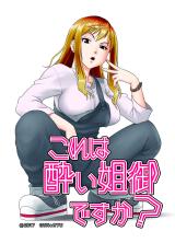 Kore wa Yoi Anego desu ka? cover