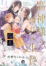 Series Image