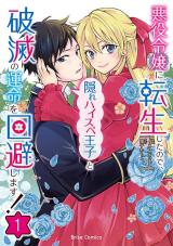 Series Image