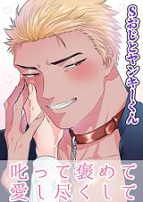 Shikatte Homete Aishi Tsukushite cover