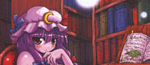 Touhou dj - Seireitsukai no Gogo cover