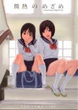 Awakening a Slight Fever cover