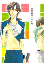 Series Image