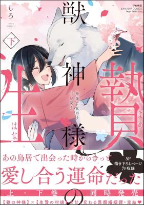 Series Image