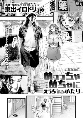 Kono Ato Meccchamecha ni Ecchi Suru Futari cover