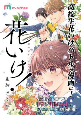 Series Image