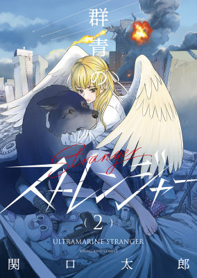 Series Image