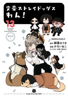 Series Image