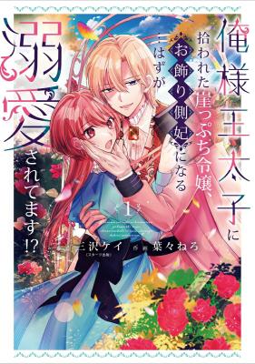 Series Image