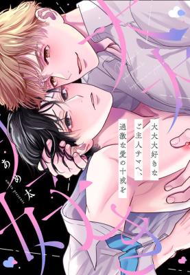 Series Image