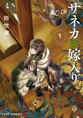 Series Image